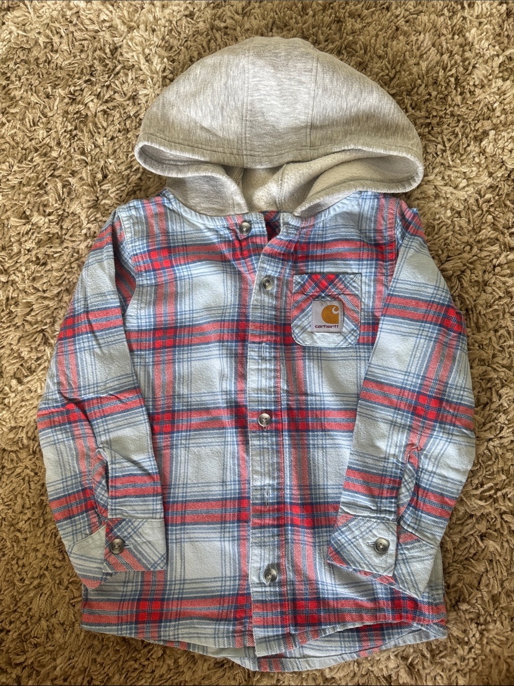 Carhartt Plaid Button-Down Hoodie Shirt in Light Blue and Red